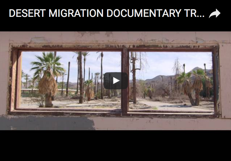 Documentary Desert Migration